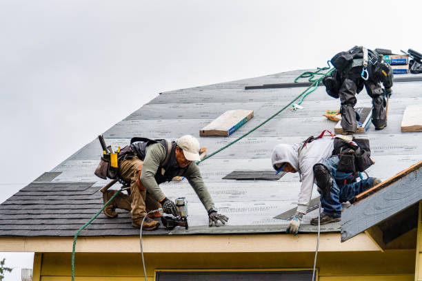 Professional Roofing technician working in Ault, CO